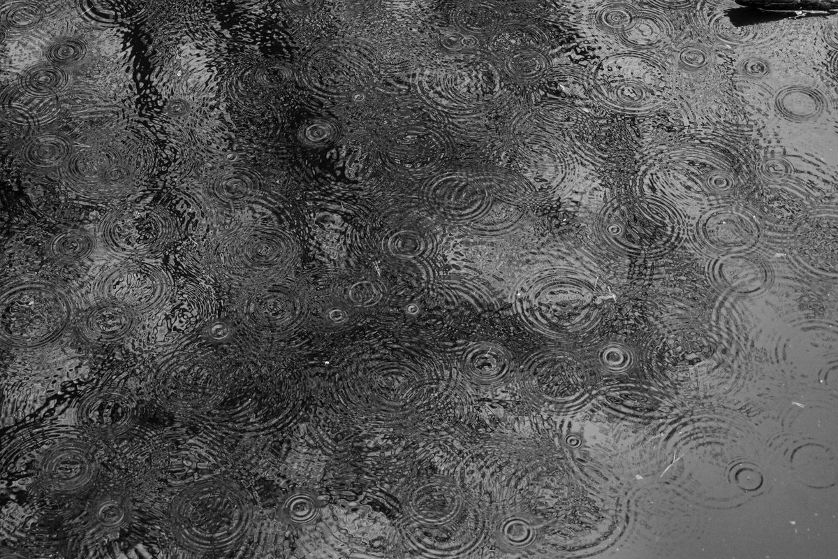 secretslumbers's tweet photo. How many raindrops does it take to make a puddle?

one?

two?

drip

drop

three?

more?

drop

drop

drop

drop https://t.co/5zntHbkMzw