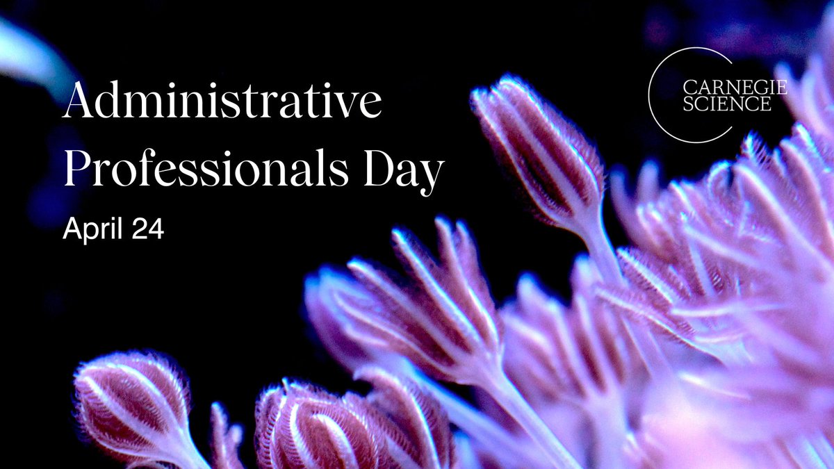 🌟Happy #AdminProfessionalsDay! It's time to shine a spotlight on the people who keep the wheels of science turning smoothly. Join us in saying a big THANK YOU to the administrative professionals behind every discovery at @CarnegieScience.