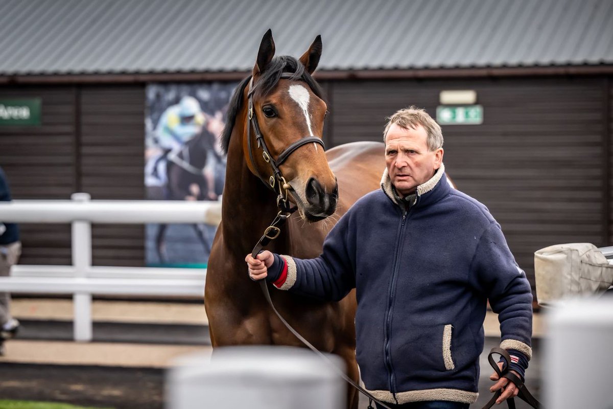 🗣️ 'All her homework was exceptional. Everything about her was exceptional and I’m delighted with the result. She deserved it.' £420,000 Havana Grey filly heads profit-filled day in Doncaster 👉 bit.ly/3Uh5RlE