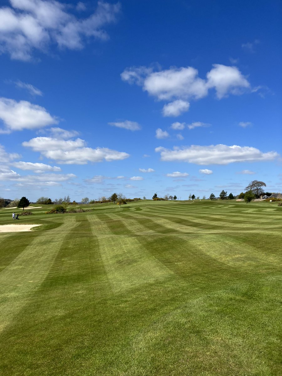 Rab Burns tweet media