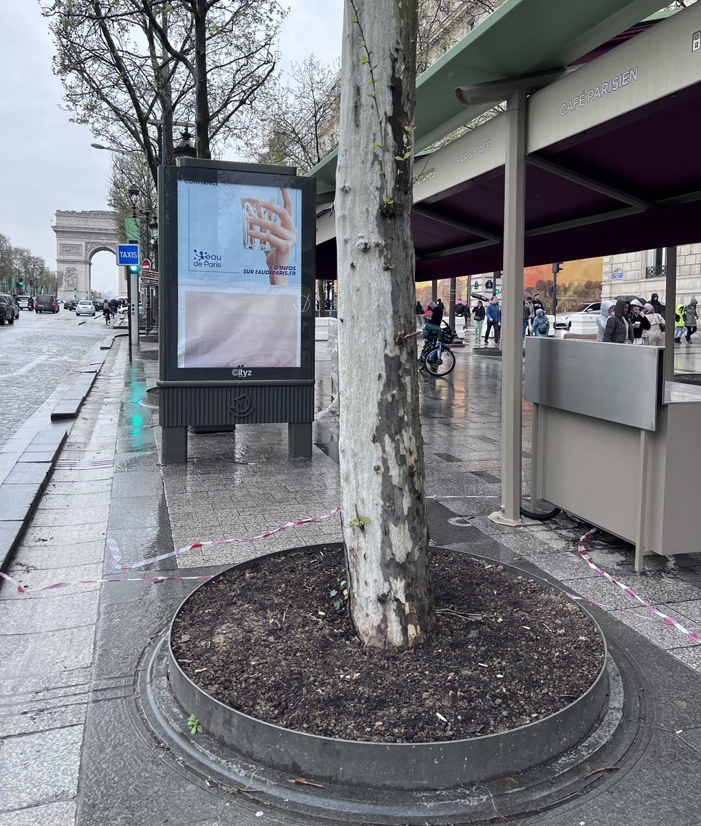 😡FATRAS Manifestement ce projet de réaménagement des #ChampsElysées a oublié l’essentiel : une #promenade magnifique avec une perspective extraordinaire de la place de la Concorde à l’Arc de Triomphe. L’avenue est devenue un invraisemblable fatras sans vision d’ensemble. #Paris