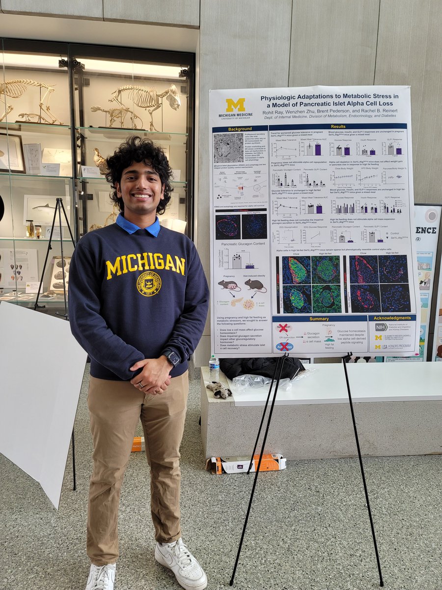 UMichEEB's tweet photo. The 2024 Program in Biology & Neuroscience Undergraduate Poster Session is happening now in the BSB Atrium! This poster session allows undergraduate students to showcase the results of their theses and independent research projects. #umeeb #umbio https://t.co/XFJIopG7Bk
