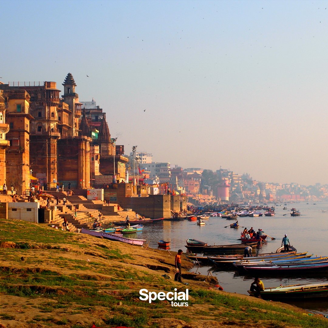 Special Tours tweet media