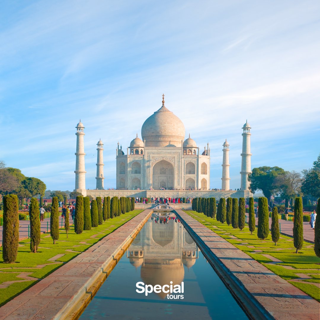 Special Tours tweet media