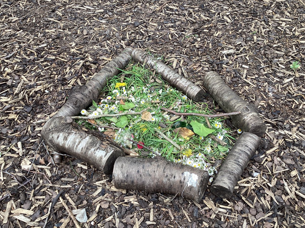 We sprinkled our individual forest feast pots into one large pile, we hope the woodland insects and animals enjoy 😊 #CGIHUM #CGIHUM @EcoCgi Diolch Dosbarth Derbyn!