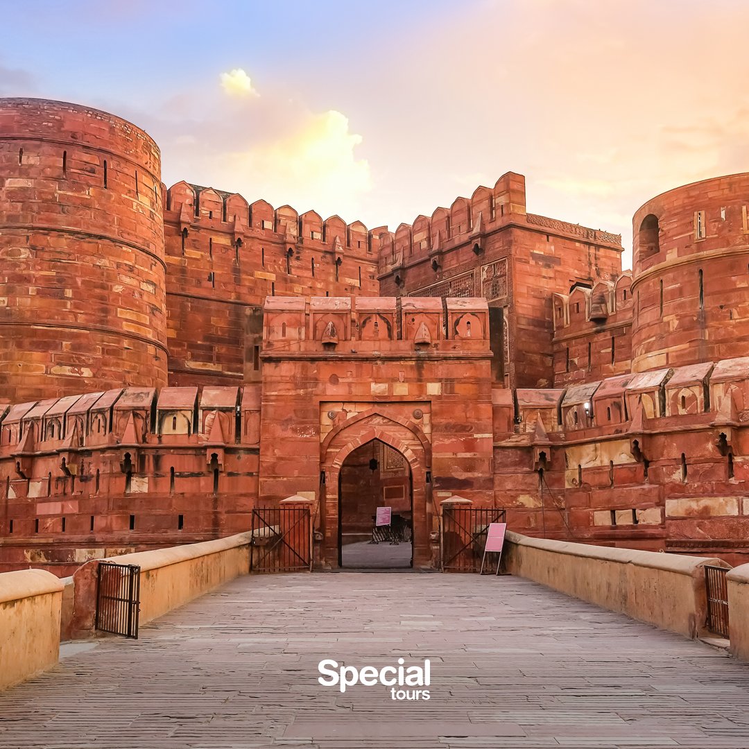 Special Tours tweet media