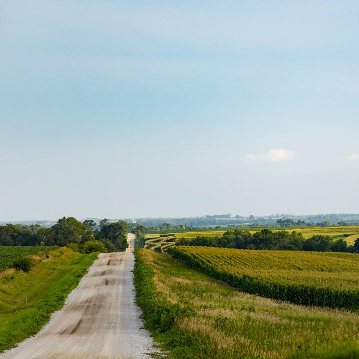 SmartChicken's tweet image. We believe in providing the best possible standard of care. This means handling chickens the right way, through humane practices, comfortable living conditions, and protocols that promote the health and wellbeing of the birds every step of the way.