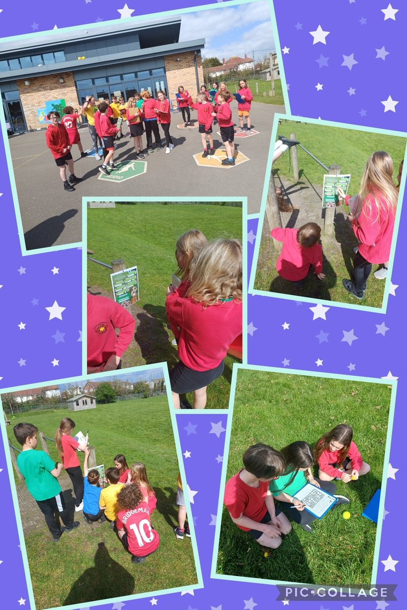 Adventure Time: Yr.5 using Numeracy, Literacy and Geography skills and knowledge to solve these outdoor puzzles based on their information about the Amazon 🌴🦎🐍🐸🐒 - part of our class theme this term!