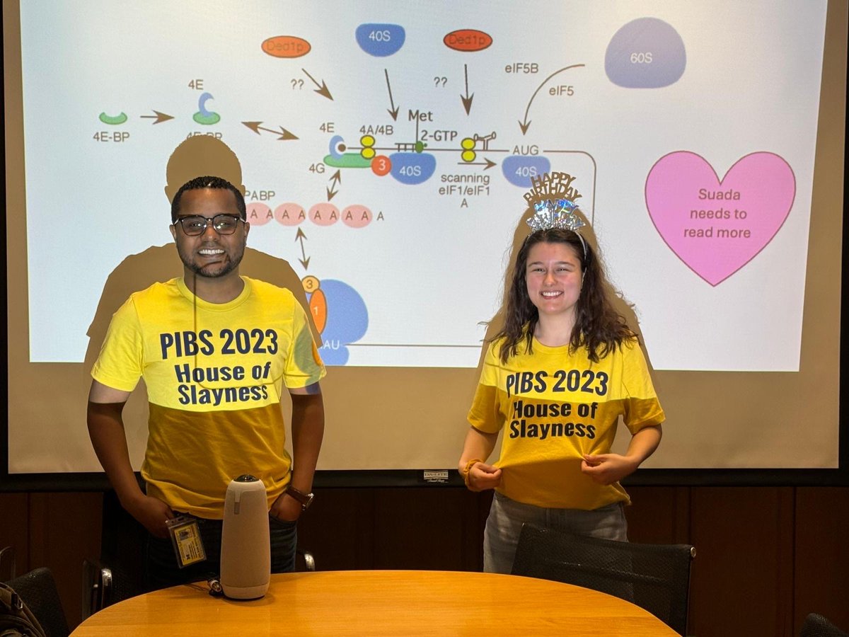 Brito Querido Lab tweet media