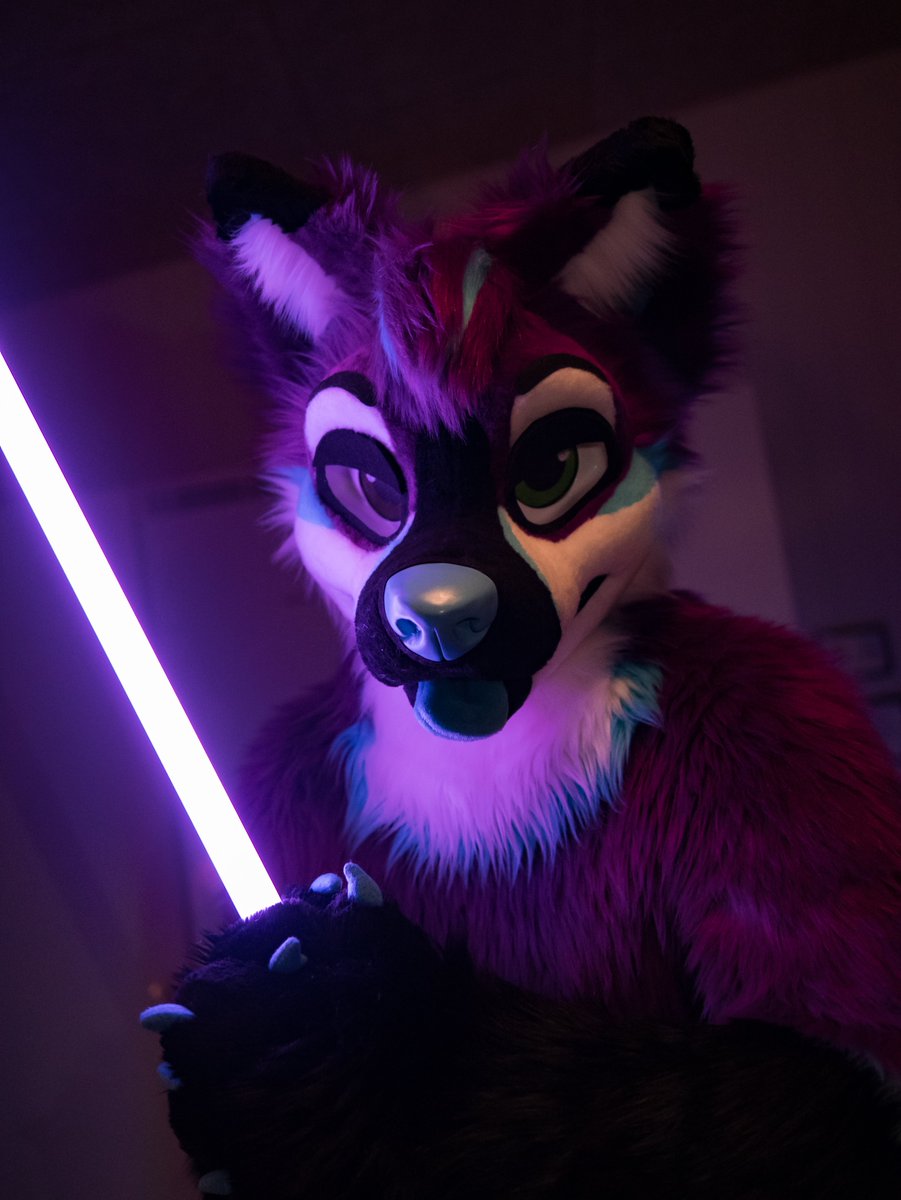May the fourth be with you! #MayThe4th 📸 @Marble_dcollie