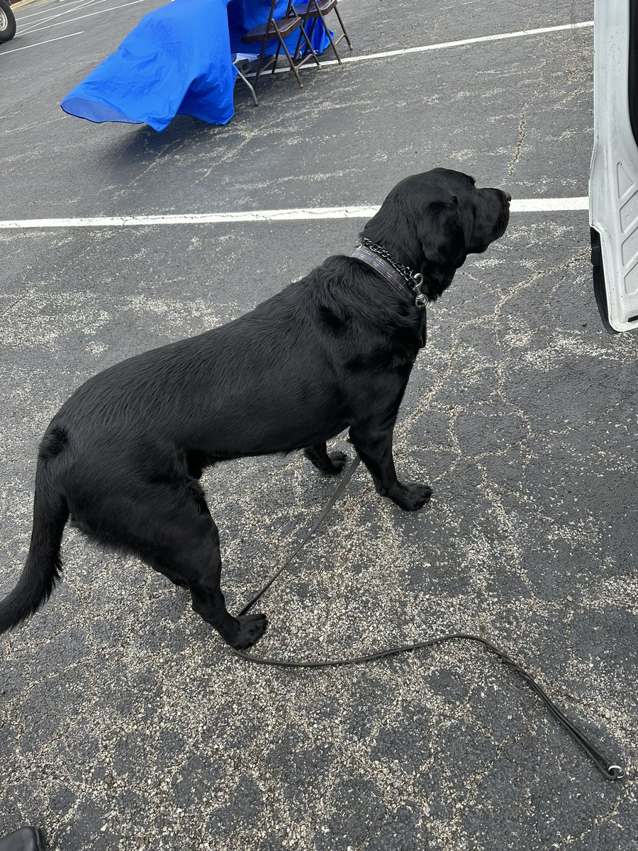 STARS OSD135 tweet media