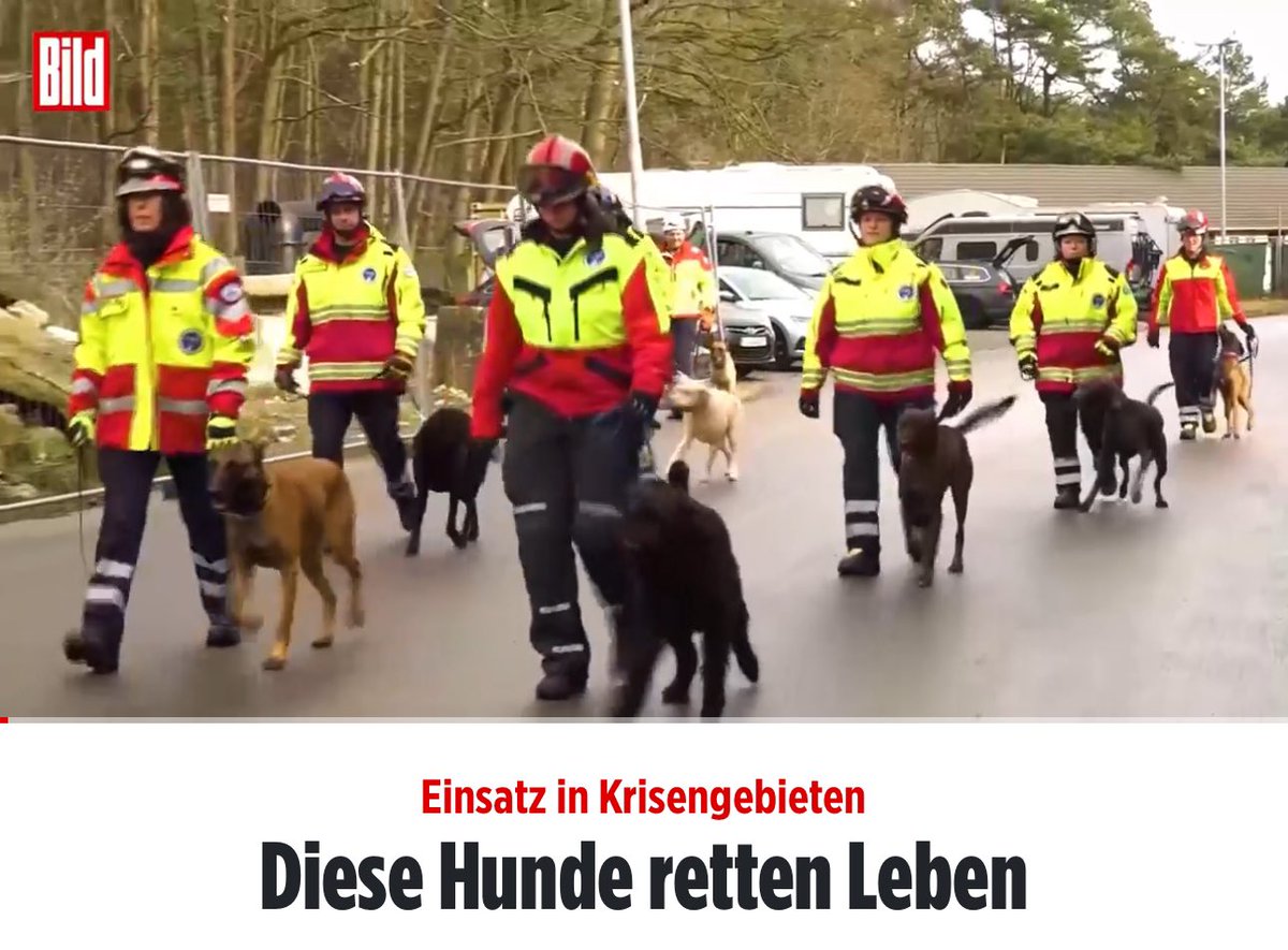 ‼️ Wie arbeiten Rettungshunde und wie werden sie ausgebildet? Ein Team von BILD.DE hat unsere Rettungshunde bei der Arbeit beobachtet. Den Film findet ihr hier!

bild.de/news/einsatz-i…