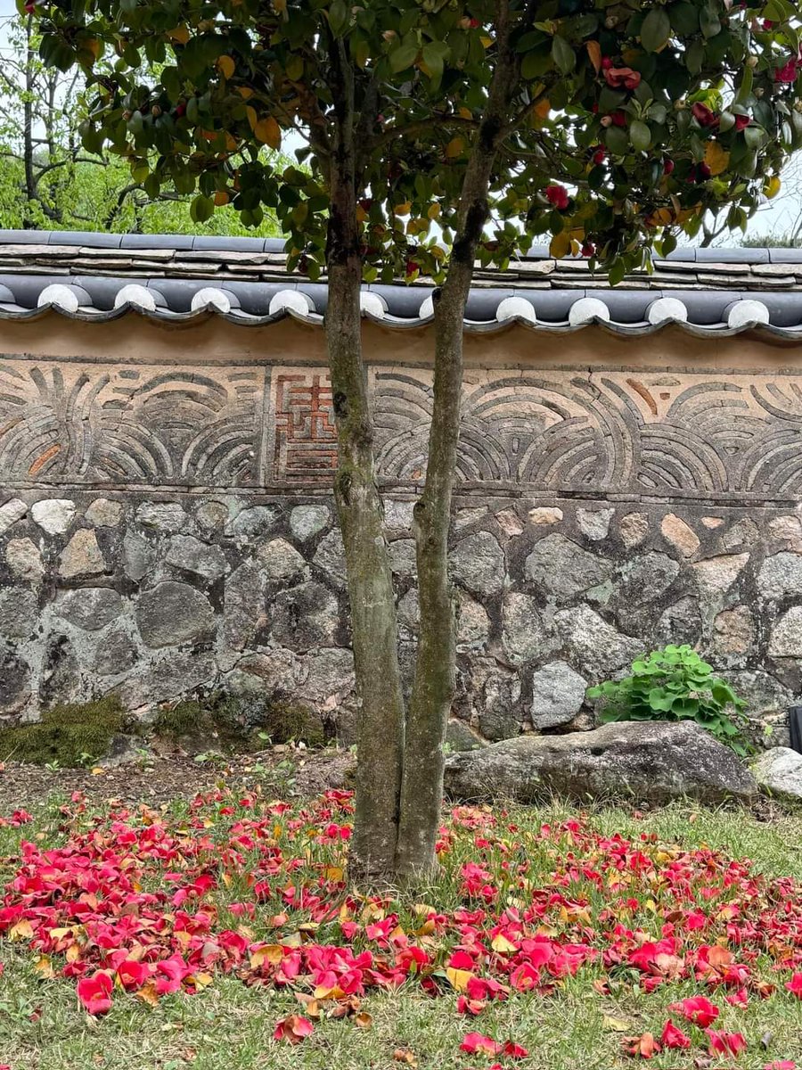 이과 국민이 부흥시킨 나라를
문과 지도자들이 말아먹었다.