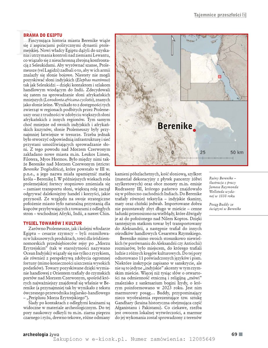 We're happy to announce that the latest issue of 'Archeologia Żywa' features an article about Berenike history by Agnieszka Garbacz. Read and learn more about this ancient site! 🏛️✨ #Berenike #Archaeology #egyptarcheology #ArcheologiaŻywa #redsea #ExcitingReads