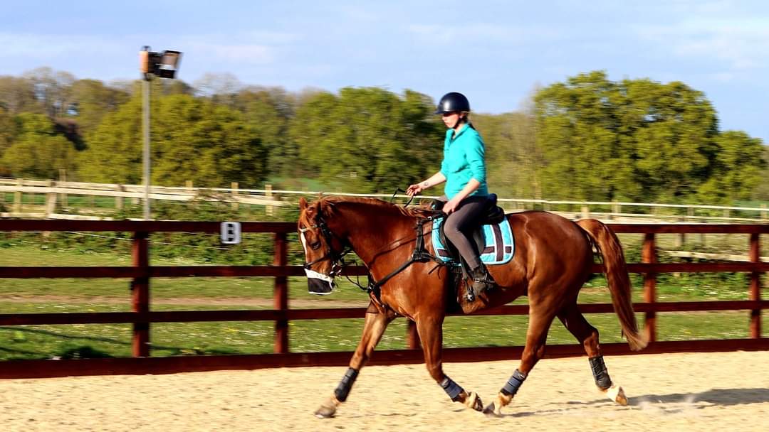 A lesson in the school this evening, and i quickly realised how unfit I am and how difficult my horse is. I really do need to work on my fitness 😀