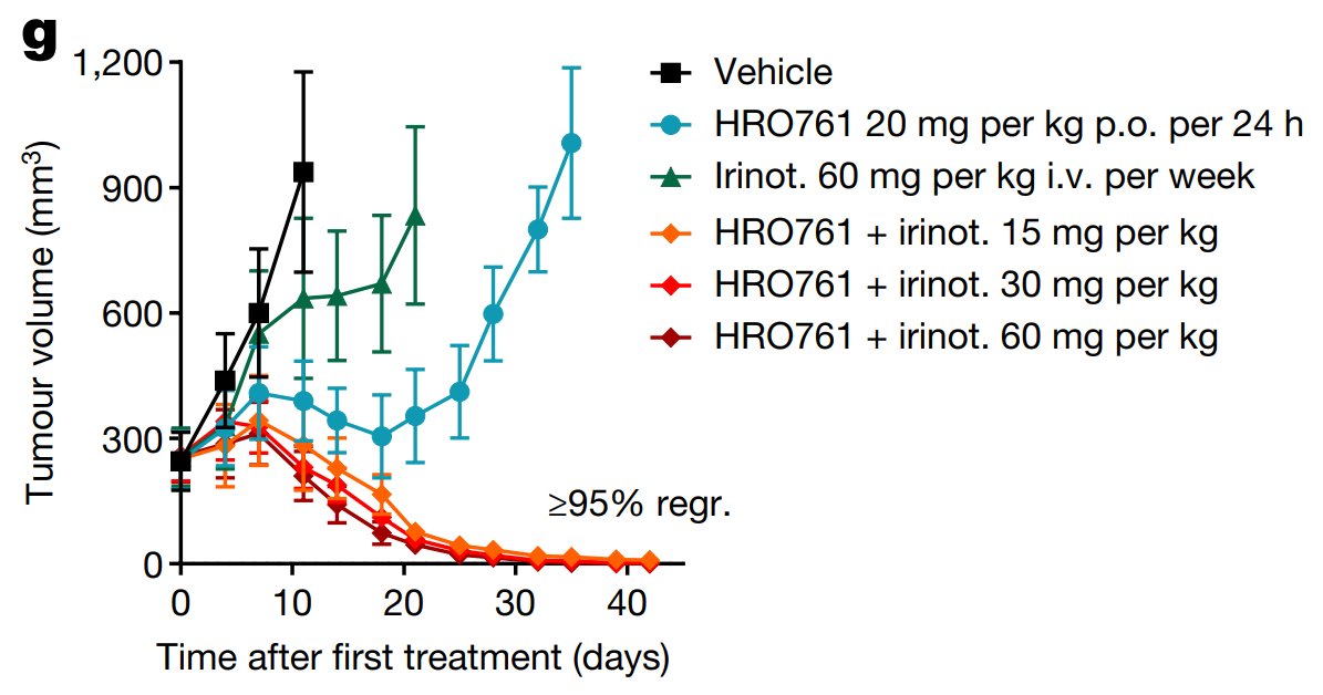 This is a good (developing) story of the importance of basic biology research

2019: genome-wide CRISPR and RNAi screens find that loss of the Werner syndrome helicase, WRN, uniquely sensitises cells that have microsatellite instability (MSI - a hallmark of mismatch repair…