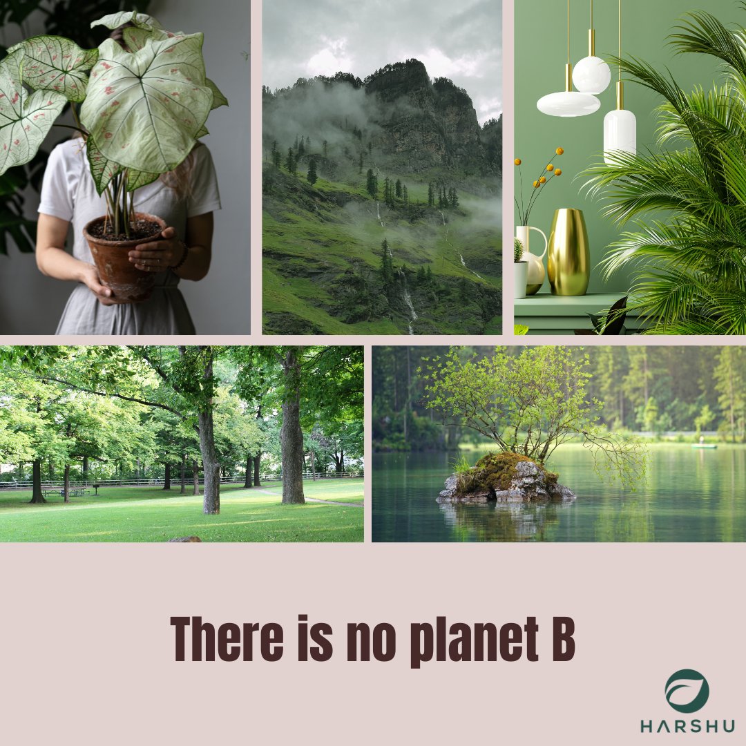 HarshuSustnbl's tweet photo. A healthy environment is the foundation of human health and well-being. Let's cherish and protect it for ourselves and future generations.

#harshu #harshuglobal #healthyenvironment #saveearthsavelife #NatureBeauty #NatureLovers #planting https://t.co/Bkgda04PpT