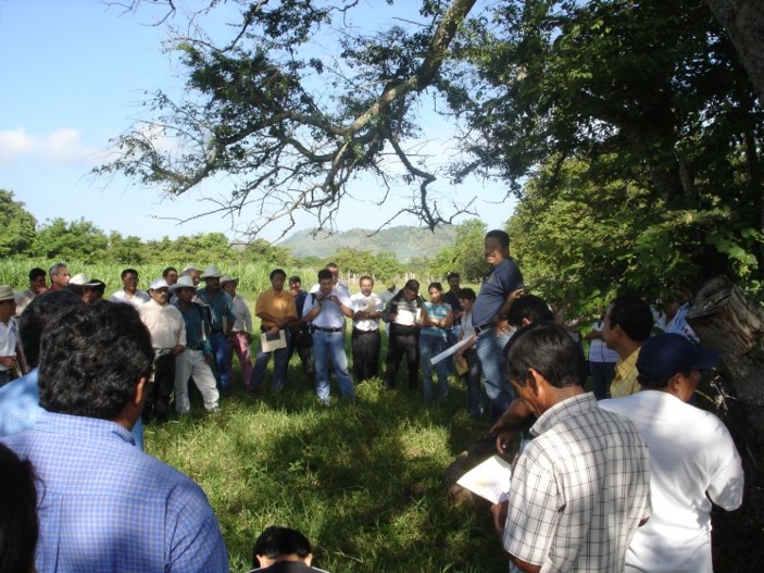 Te invitamos a leer el #Artículo 'Diseño de una política territorial de conservación y desarrollo basada en la sustentabilidad. El caso del municipio de Villaflores, Chiapas. México'. Lee el artículo en 👇👇 revistas.ecosur.mx/sociedadyambie…