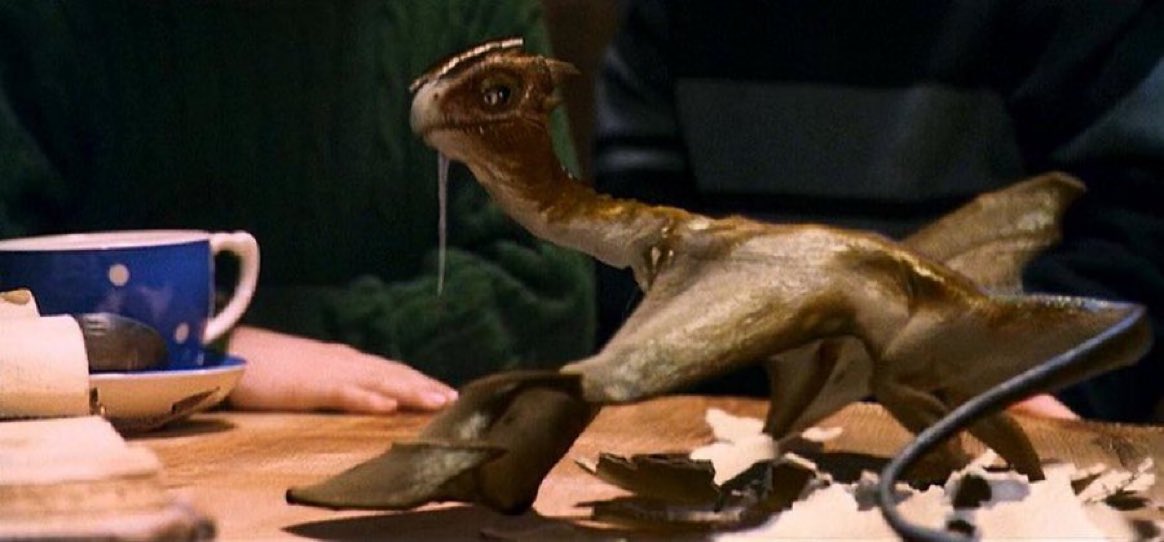 April 24, 1992: Norbert the Norwegian Ridgeback hatched in Hagrid's Hut.