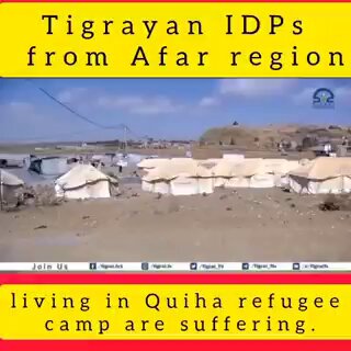 These are Tigrayan IDPs from Afar. IDPs in Tigray are still living in temporary shelters without access to food and aid. Urgent action and sustained support are needed. #FreeAllTigray #UpholdPretoriaAgreement @UN @MikeHammerUSA @RepGregoryMeeks @BradSherman @WFP @alogen1o