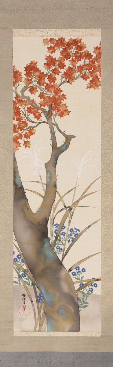 Autumn Maple, by Kamisaka Sekka, ca. 1870s #nihonga