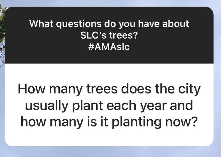 slcmayor's tweet photo. 🌳 In 2014, Salt Lake City planted less than 500 trees
🌲 By 2019, the City planted 1,000 trees annually
🌳 Now, we plant 2,000+ trees each year.
Keep in mind, over that same time, we've also lost large mature trees each year.
#AMAslc https://t.co/9ZB8HqJCkl