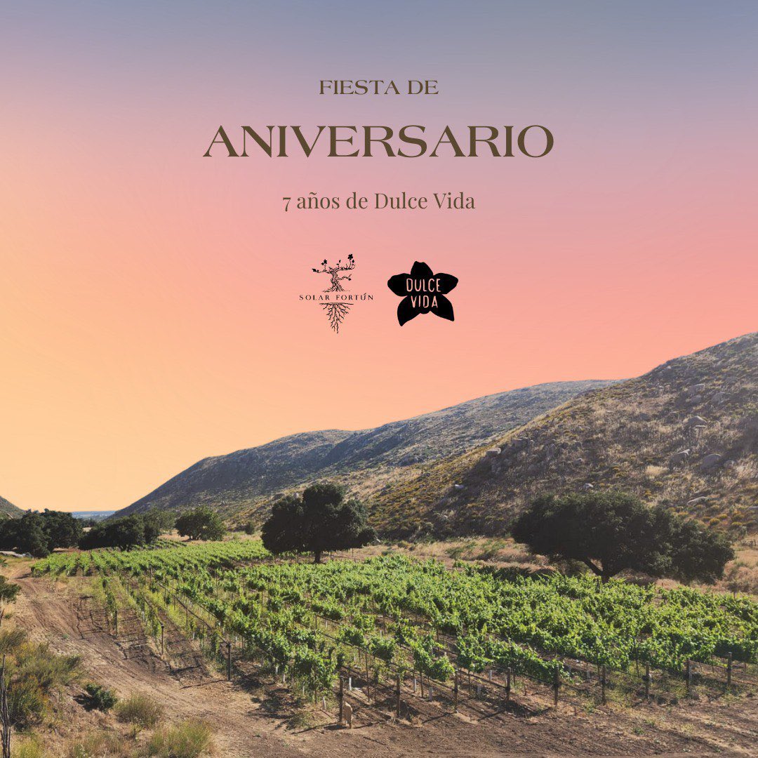 SolarFortun's tweet photo. ¡7 Años de Dulce Vida! 🫶🏻🍷 https://t.co/CFL69foqKm