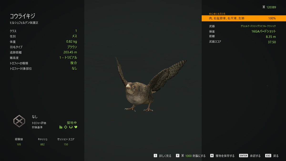 chu_chu_jp's tweet photo. #theHunterCalloftheWild 
#ザハンターコールオブザワイルド 
#COTW 
#ヒルシュフェルデン 
#Hirschfelden 
#ゲーム配信 
#ゲーム実況 
#コウライキジ 
#PhasianusColchicus 
#CommonPheasant 
何方か有識者ご教授を…
コウライキジ「トロフィー評価：接地中」は飛行中を撃ち落として初めて評価対象？ https://t.co/cw5qaTWymo