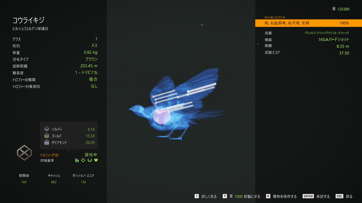 chu_chu_jp's tweet photo. #theHunterCalloftheWild 
#ザハンターコールオブザワイルド 
#COTW 
#ヒルシュフェルデン 
#Hirschfelden 
#ゲーム配信 
#ゲーム実況 
#コウライキジ 
#PhasianusColchicus 
#CommonPheasant 
何方か有識者ご教授を…
コウライキジ「トロフィー評価：接地中」は飛行中を撃ち落として初めて評価対象？ https://t.co/cw5qaTWymo