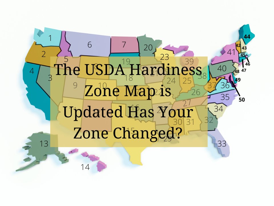 The new USDA Hardiness Zone Map was released in late 2023, find out if your zone has changed. advancedgrowersolutions.com/the-usda-hardi… #growerlife #growsmarter