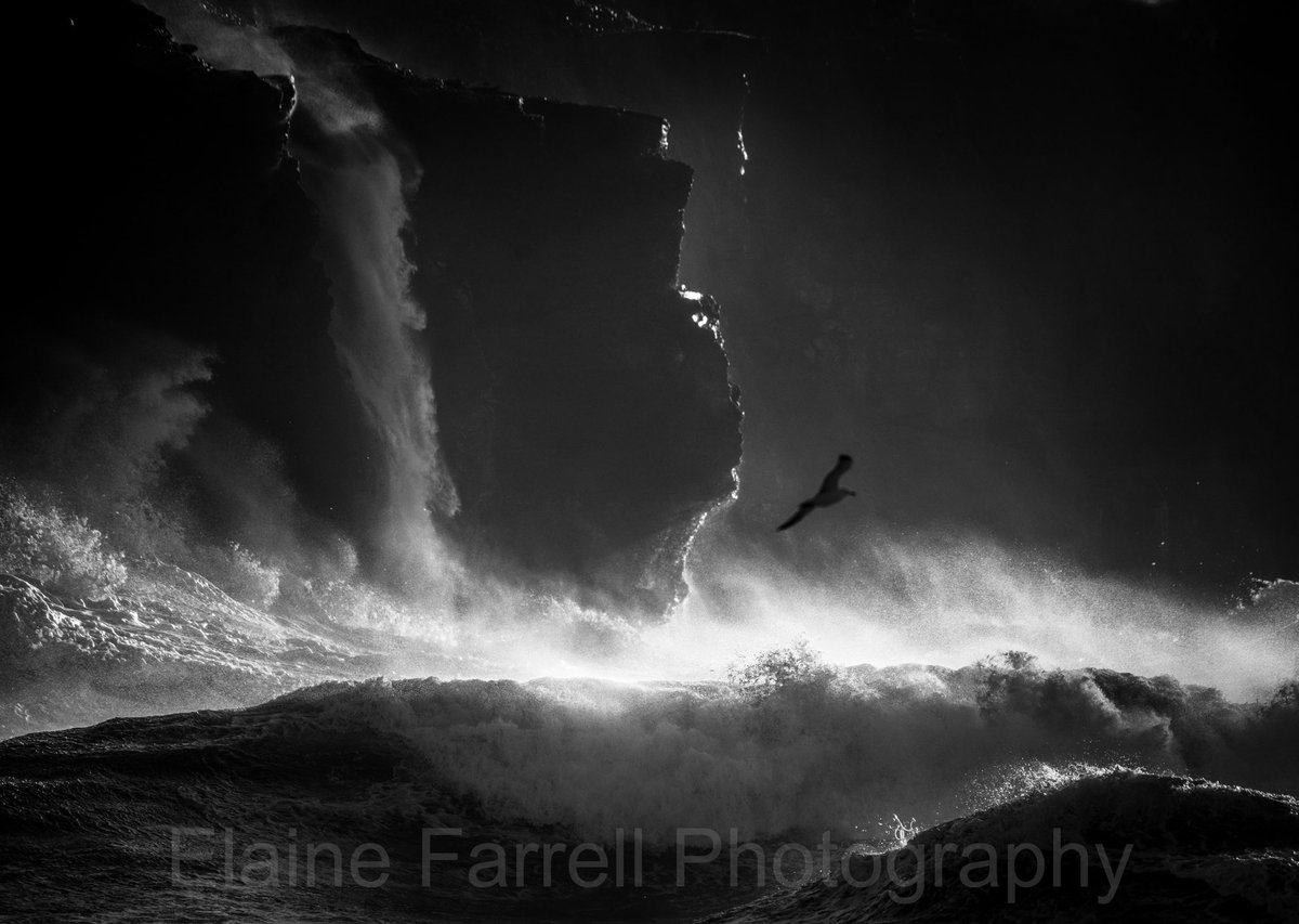 Where free birds fly .. #cliffsofmoher #ireland