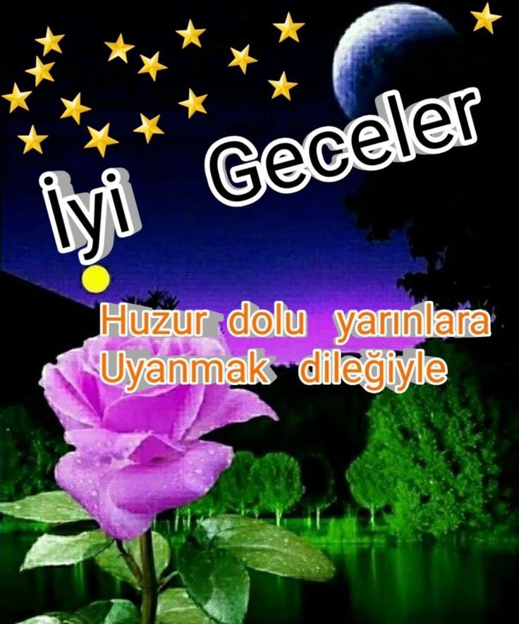 Hayırlı geceler Allah'a emanet olun 🙋