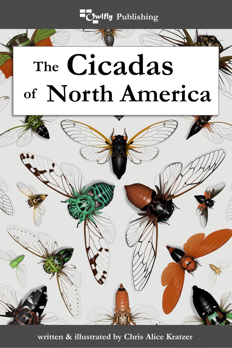 (I'm still fussing with it here and there, but) Here is the official cover reveal for my upcoming book, THE CICADAS OF NORTH AMERICA! Preorders are available NOW at OwlflyLLC.com/publications !!!