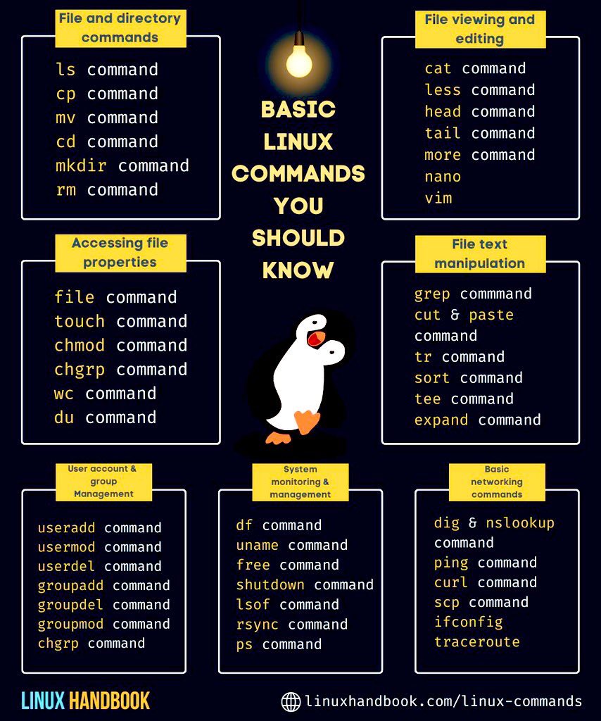 Basic Linux Commands you should know