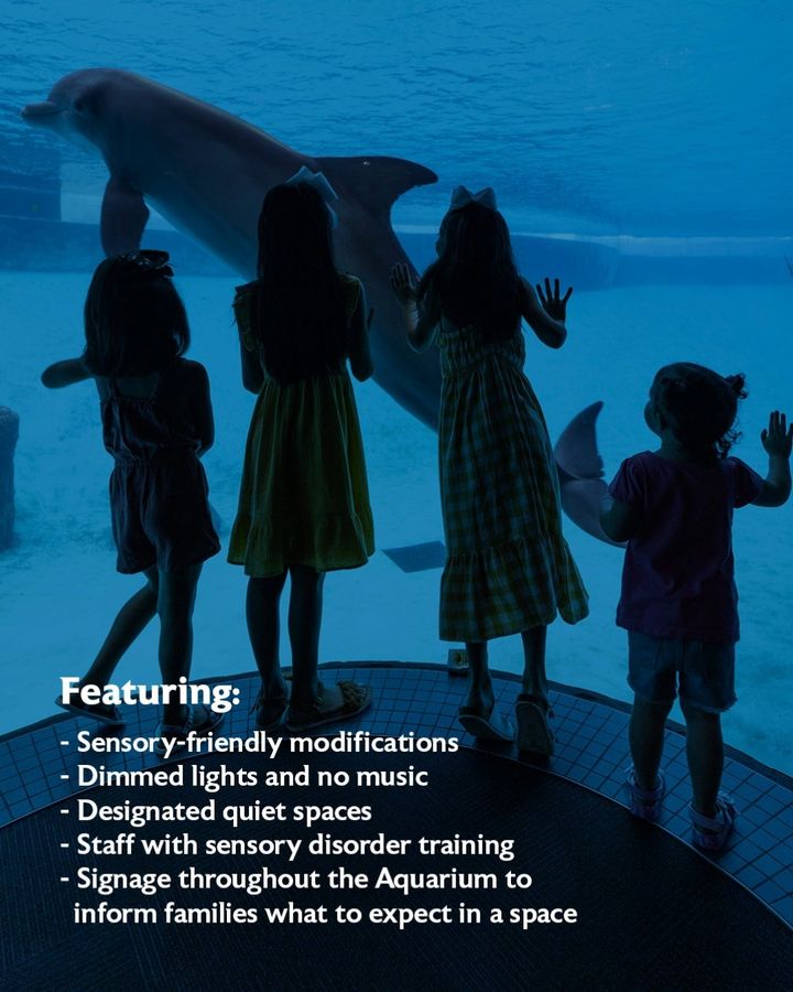 This Sunday, April 28th, from 9:00am to 11:00am, those with sensory sensitivities can enjoy the Aquarium in a calm environment. 💙 In partnership with Driscoll Health Plan. Tickets must be purchased in advance. For more information, visit bit.ly/3Iwu0jp