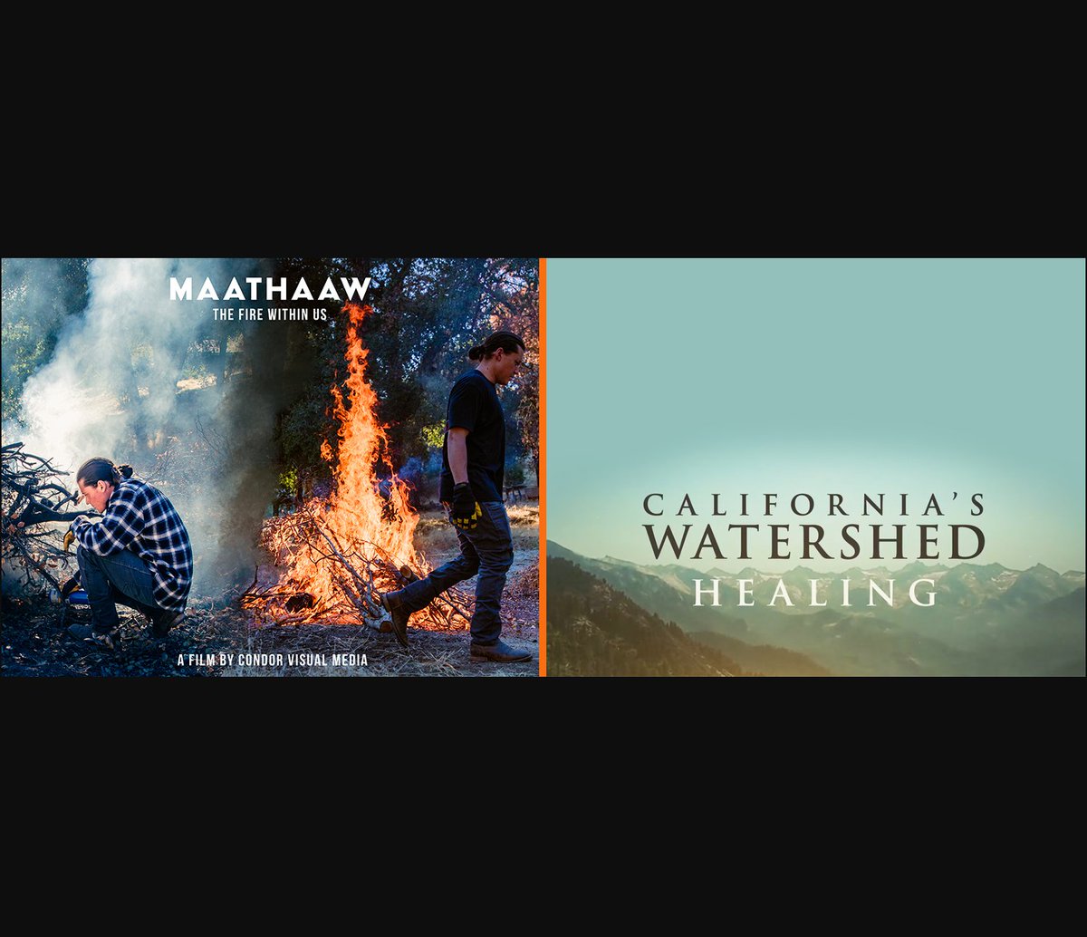 New films showcase paths forward to heal CA’s relationships w/fire and watersheds! #MAATHAAWFilm - SoCal Tribes and the gift of fire. California’s Watershed Healing - restoring forests has cascading benefits. bit.ly/TF-New-Films @CSAinAction @CA_CECS @TheChroniclesG