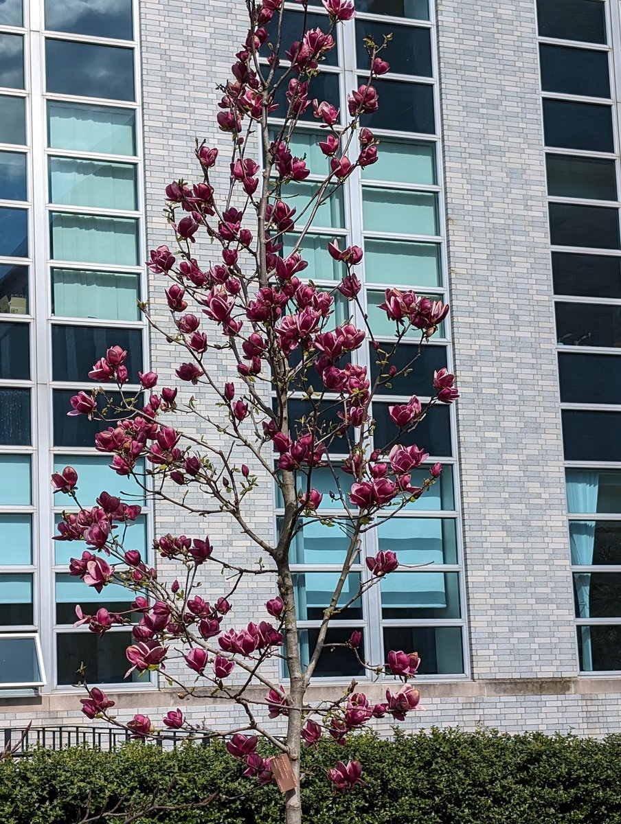 Mary Jo Ondrechen tweet media