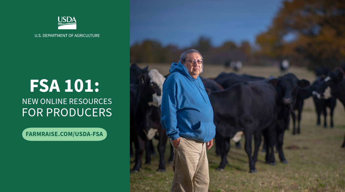 .@USDA unveiled a new online Livestock Indemnity Program Decision Tool and farm loan resources hub in partnership with @farm_raise. The hub includes how-to videos, visual aids, and more, all designed to streamline access to vital FSA programs: bit.ly/3JnFOUQ