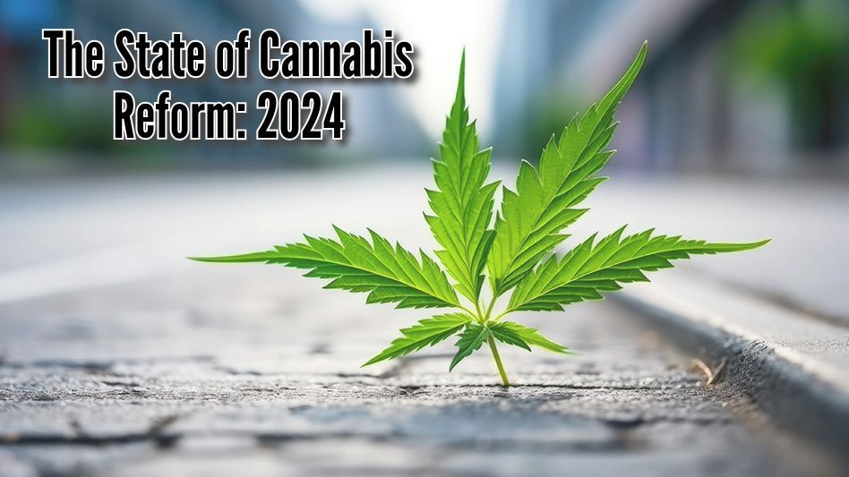 Federal #Cannabis Legalization and Reform: Where Are We in 2024? buff.ly/3JwcR9d #votehemp