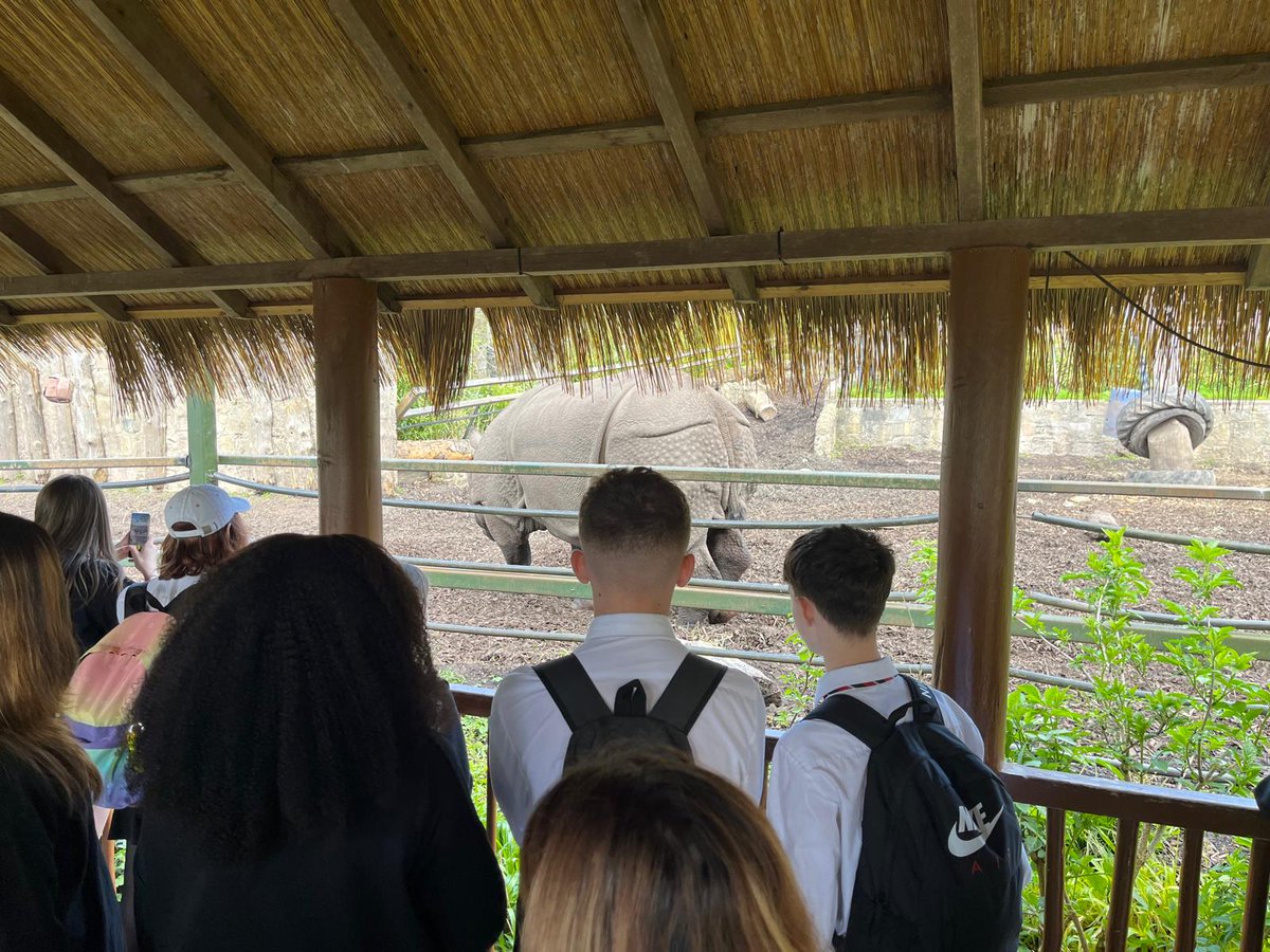 StJoAcadSci's tweet photo. Pupils and staff enjoyed their day at the zoo! https://t.co/ShwGbV59ca