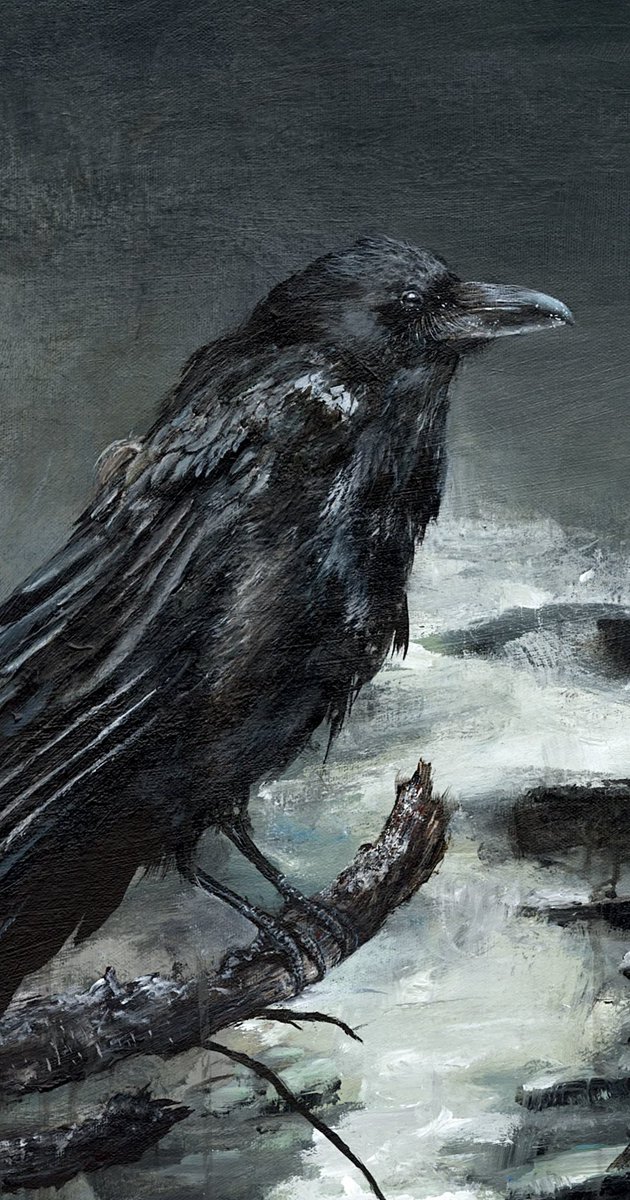 Hi! Detail of my raven edition 🖤🐦‍⬛🪽 She’s calling to you 🖤🐦‍⬛ looking for my 6th collector to join my raven story 🤍 “Unveiling a Conspiracy” 0.01 $eth