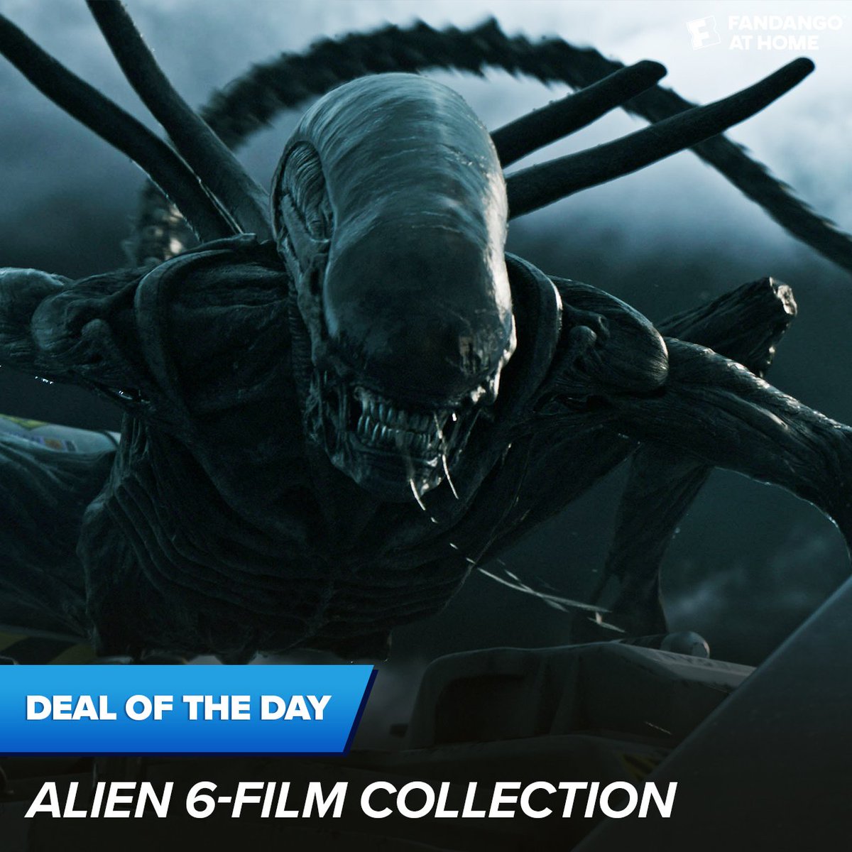 Get ready for Alien Day with today's deal. The #Alien 6-Film Collection is on sale now at Fandango at Home! fandan.co/Alien6FilmColl…