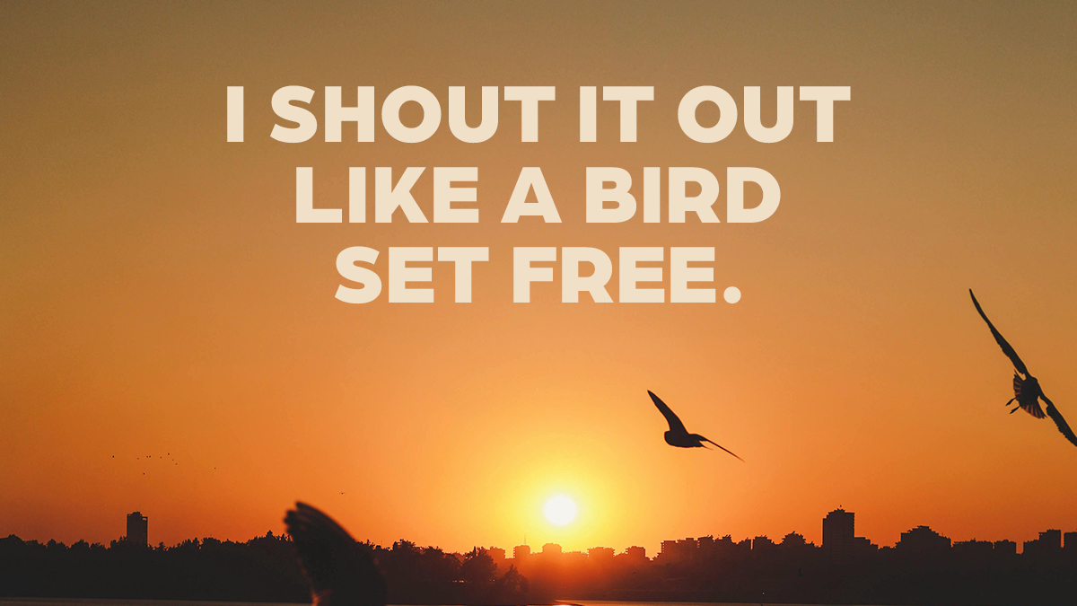 Like a bird set free, we celebrate survivors' strength and resilience. Let's uplift and empower silenced voices together. 

#fairgirlsinc #traumarecovery #victoryovertrafficking#rebuildinghope #donationdrive #generosity #empowermentprograms #childsafety