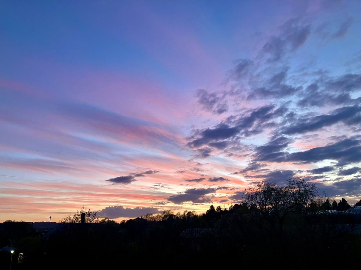 Best thing about Spring? My view from the living room window.