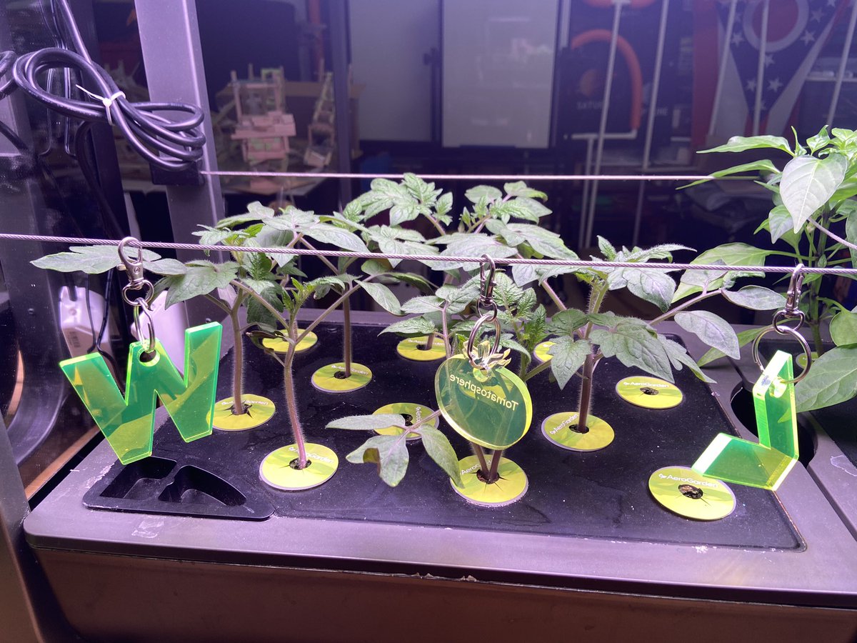 Space Farmers are still growing! Moon Chilies and @Tomatosphere looking good!