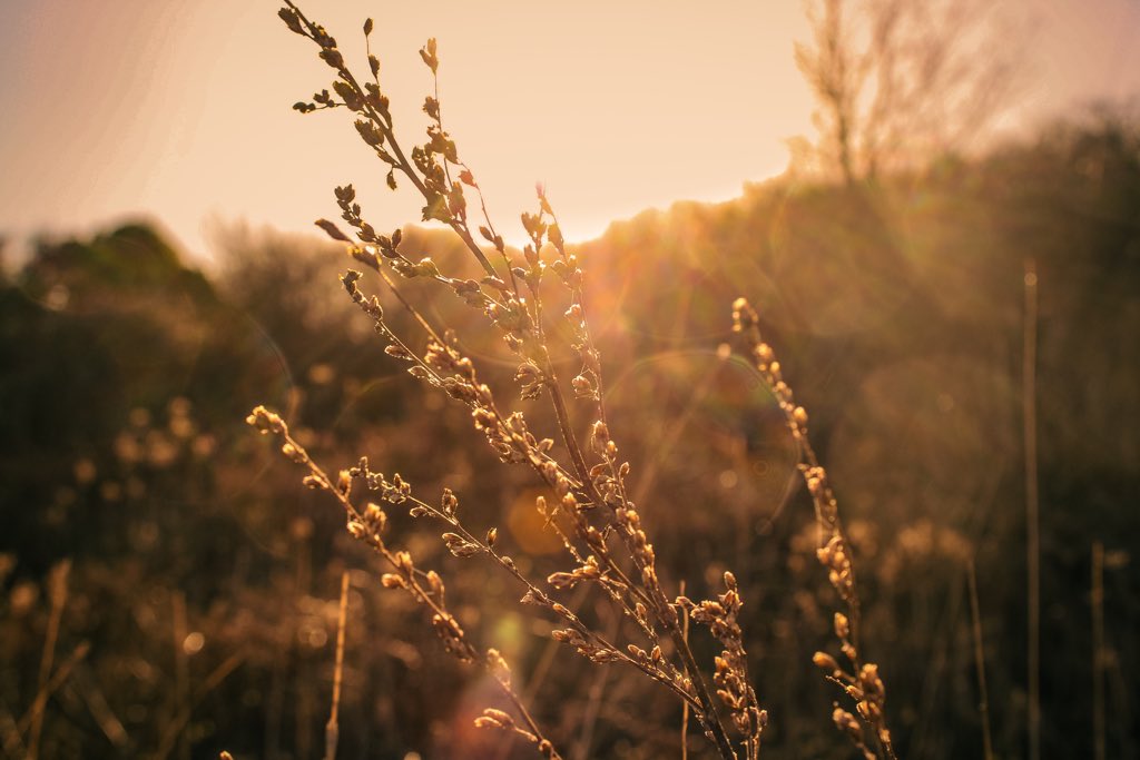 Congratulations to Rowena who secured 2nd place in year 10 photo of the week with this gorgeous shot taken in Filey.