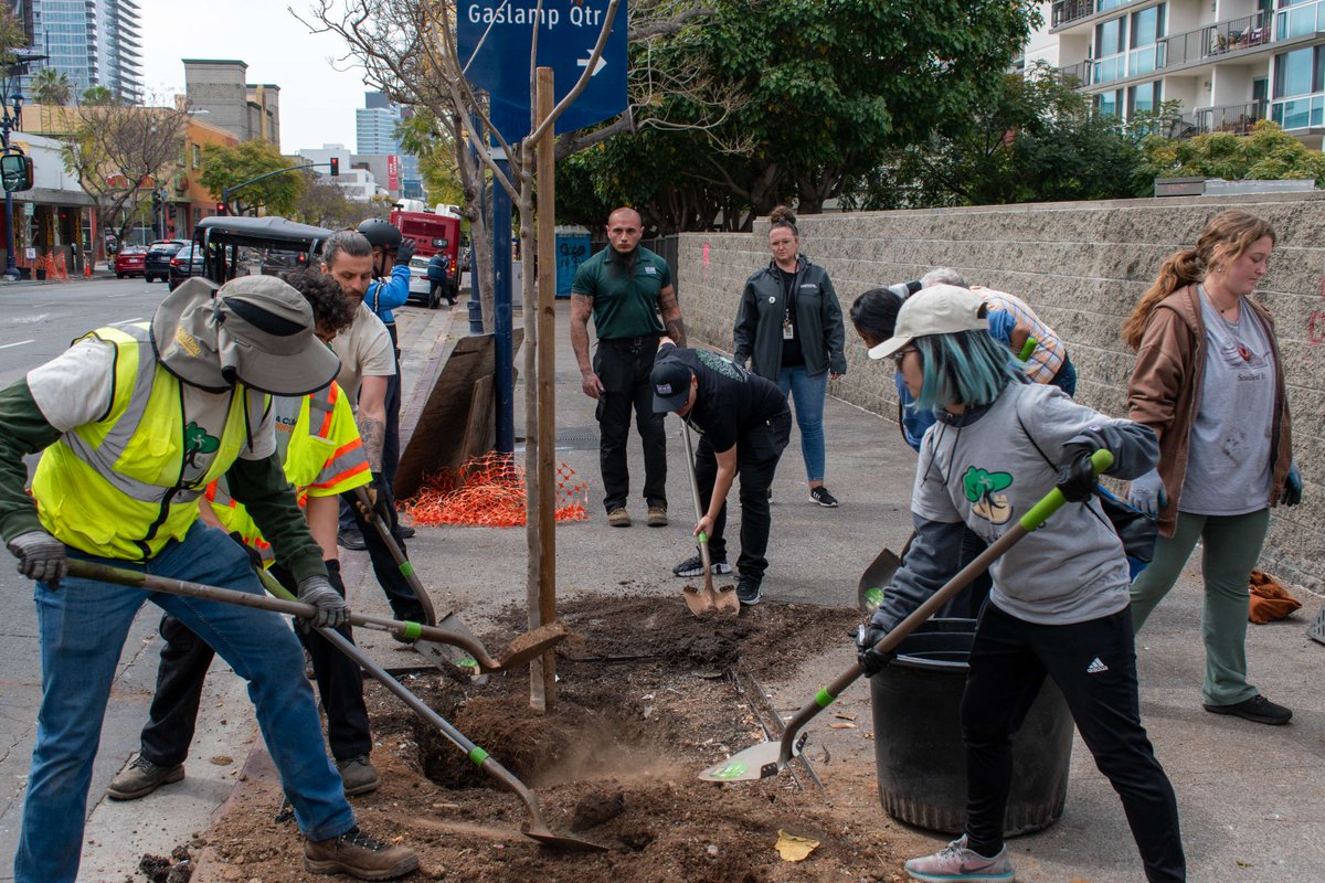 Success sprouted! Downtown's green future took root with our successful Grow Urban tree planting event. Thanks to our volunteers and our Clean & Safe team, we planted 18 trees in East Village, nurturing a greener and healthier urban environment for all to enjoy 🌳.