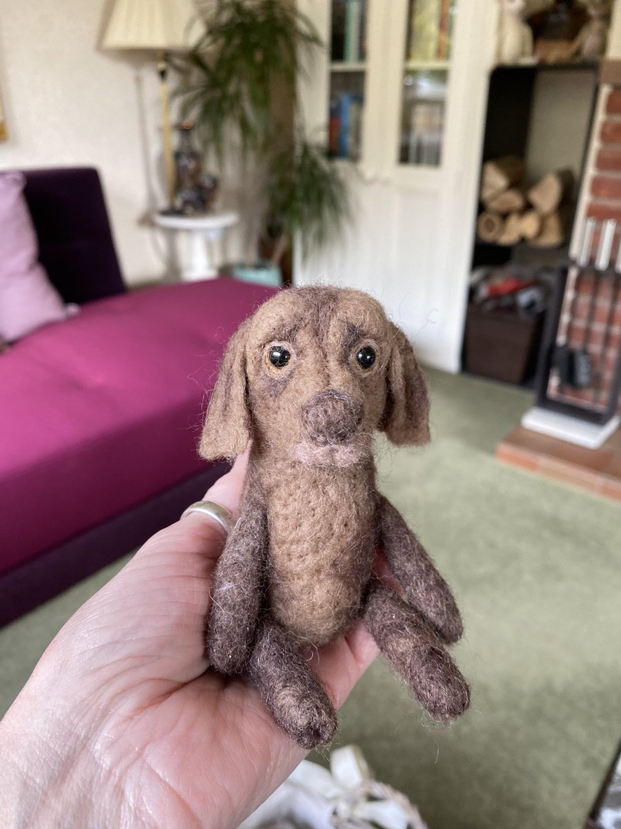 StephCowburn's tweet image. Some of their expressions just melts your heart… #minipets #CraftBizParty #shopindie #handmadehour