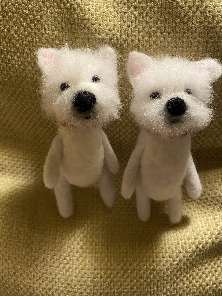 Some of their expressions just melts your heart… #minipets #CraftBizParty #shopindie #handmadehour