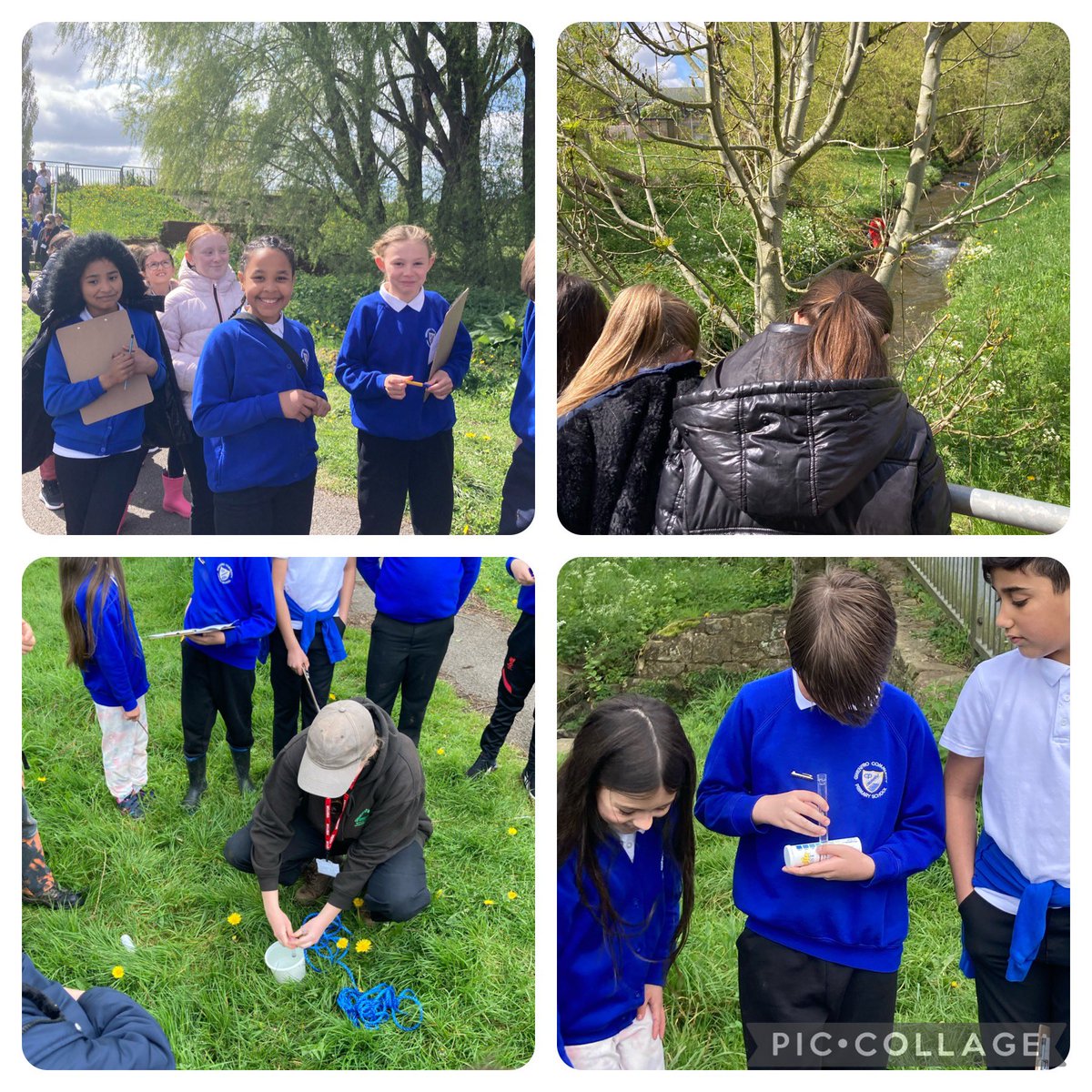 Dosbarth Beaumaris had a fantastic session with @GwkNorthWales, looking at the pollution in the River Gwenfro, testing the water cleanliness, and learning how to keep it clean and healthy. Diolch! @wrexhamcbc #TeamGwenfro #ethicalinformedcitizens #localarealearning